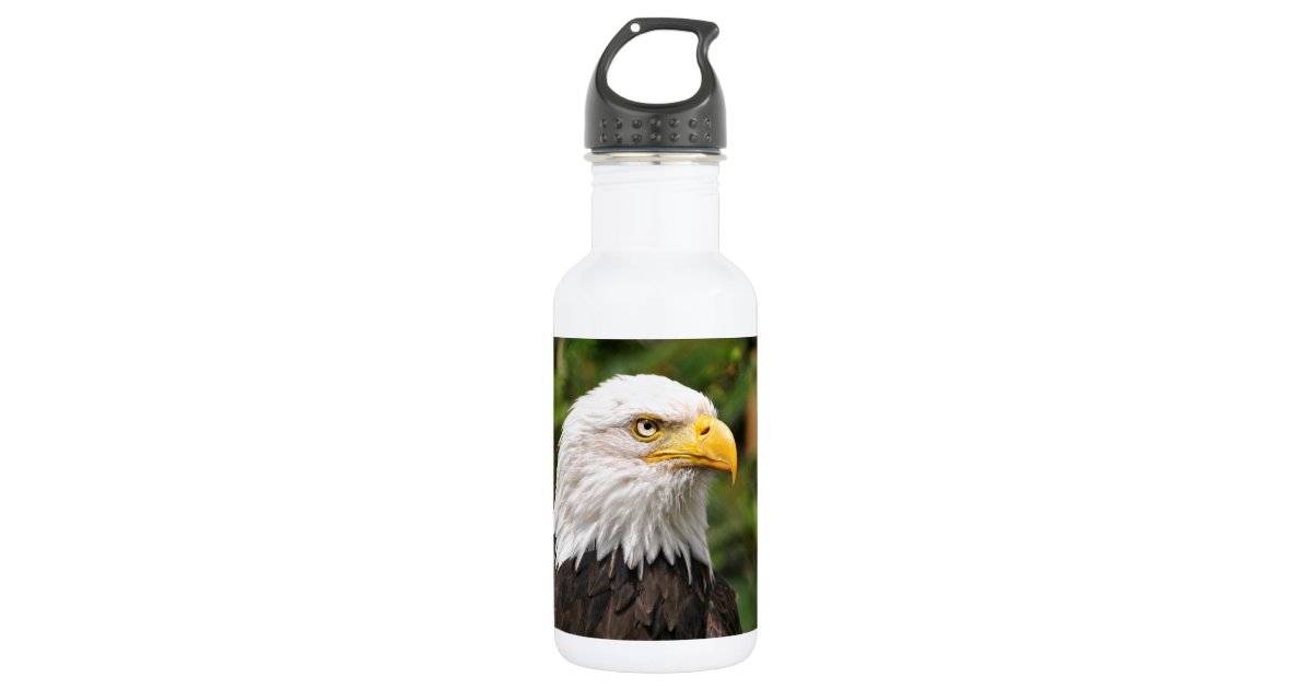 Eagles Water Bottle 