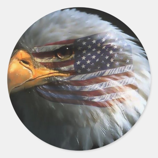 American bald eagle with American flag stickers (Front)
