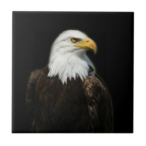 American Bald Headed Eagle Wildlife Bird Photo Ceramic Tile