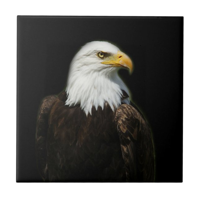 American Bald Headed Eagle Wildlife Bird Photo Ceramic Tile (Front)