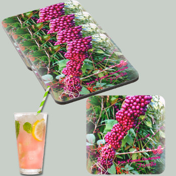 American Beautyberry At Bok Tower Gardens Florida Beverage Coaster by Sozo4all at Zazzle