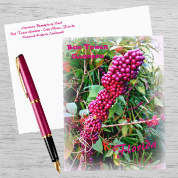 American Beautyberry At Bok Tower Gardens Florida Postcard by Sozo4all at Zazzle