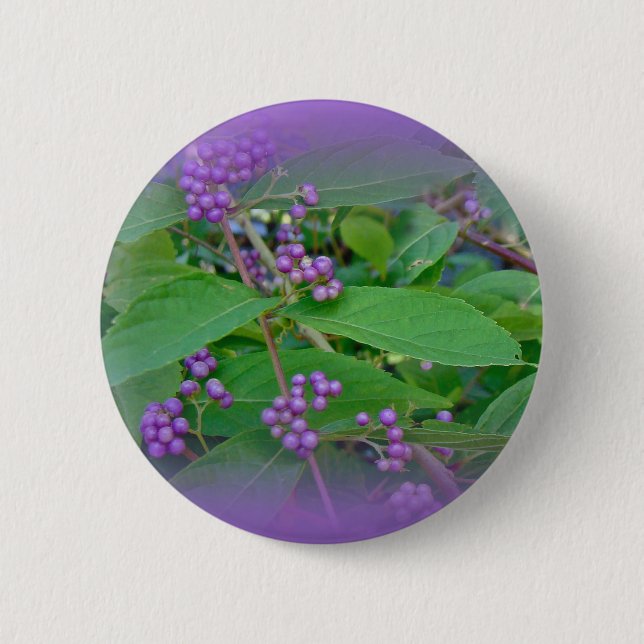 American Beautyberry (Callicarpa americana) Pinback Button (Front)