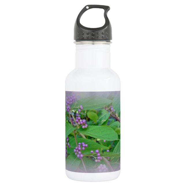 American Beautyberry (Callicarpa americana) Stainless Steel Water Bottle (Front)