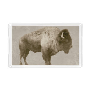 American Bison. Acrylic Tray