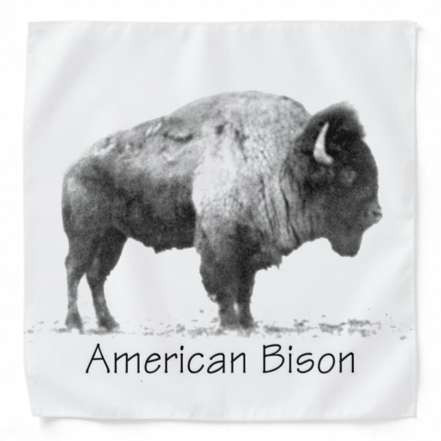 American Bison Bandana (Front)
