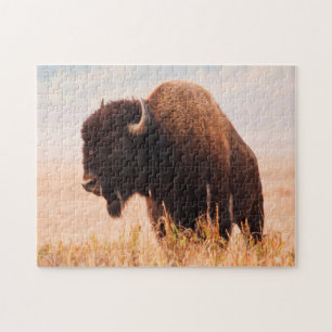 American Bison (Bison Bison) Herd In Teton 2 Jigsaw Puzzle