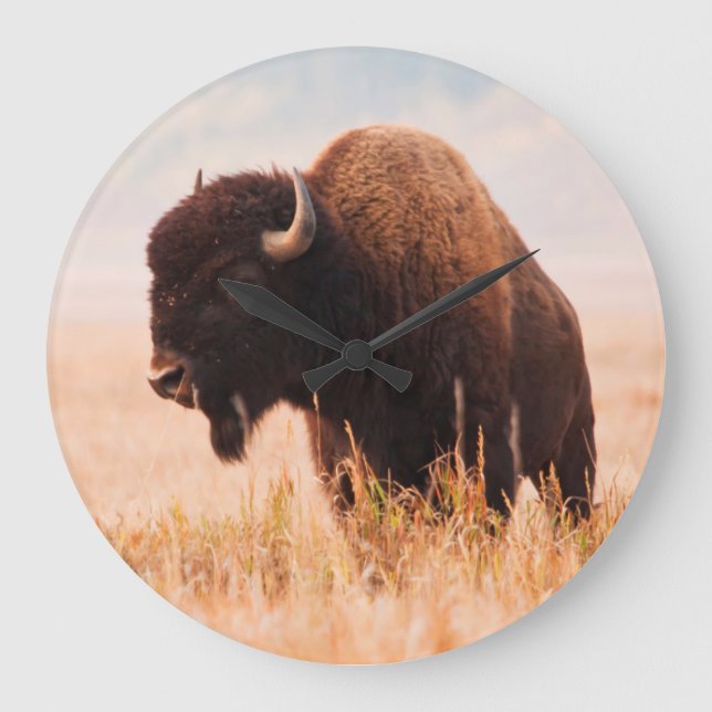American Bison (Bison Bison) Herd In Teton 2 Large Clock (Front)