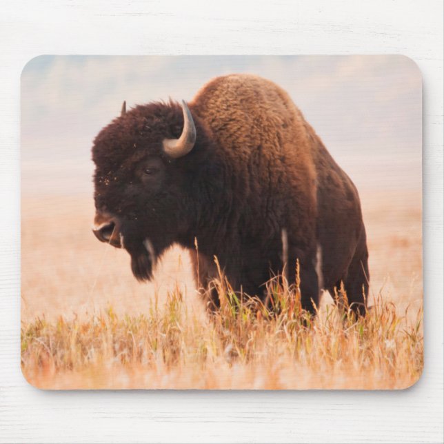 American Bison (Bison Bison) Herd In Teton 2 Mouse Pad (Front)
