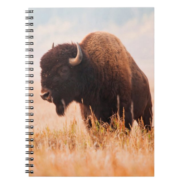 American Bison (Bison Bison) Herd In Teton 2 Notebook (Front)