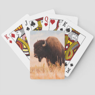 American Bison (Bison Bison) Herd In Teton 2 Poker Cards