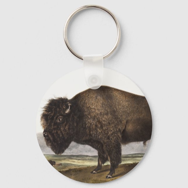 American Bison (Bos Americanus) Illustration Keychain (Front)