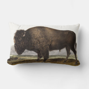 American Bison (Bos Americanus) Illustration Lumbar Pillow