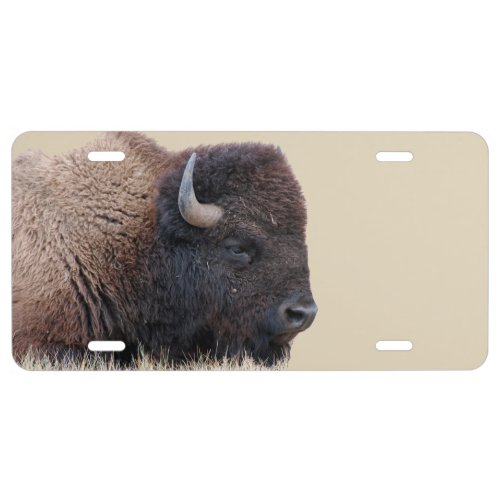 American Bison Buffalo License Plate