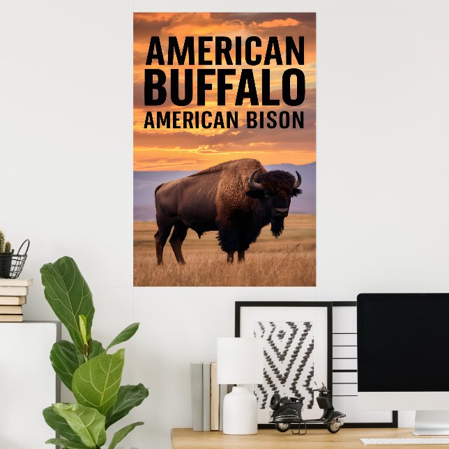 American bison Buffalo Poster (Home Office)