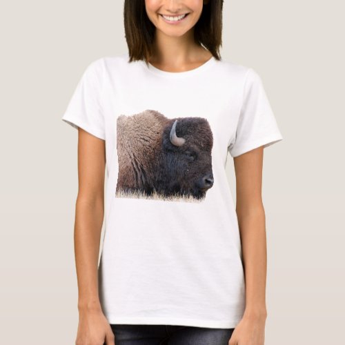 American Bison Buffalo T_Shirt