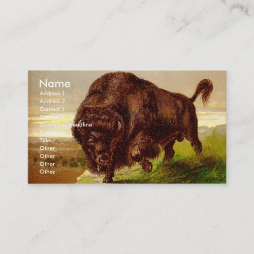 American Bison Business Cards