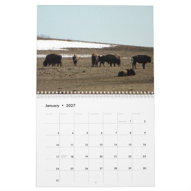 American Bison Calendar (Jan 2027)