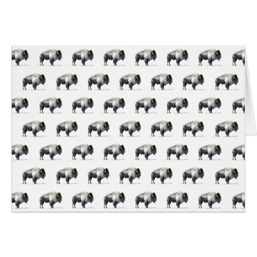 American Bison Cards (Front Horizontal)
