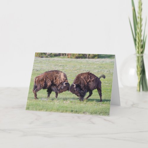 American Bison Folded Greeting Card