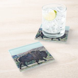 American Bison Grassland Wildlife Glass Coaster