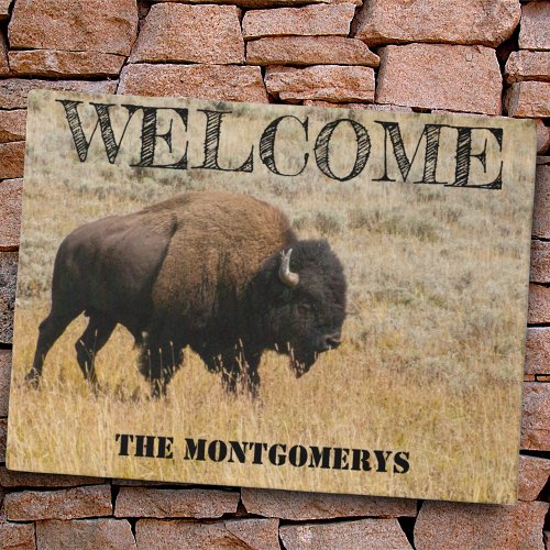 American Bison Grazes In Meadow Grass Photo Custom Doormat
