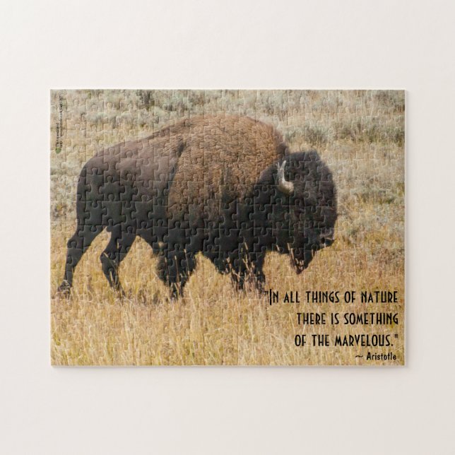 American Bison Grazes In Meadow Grass Photo Custom Jigsaw Puzzle (Horizontal)