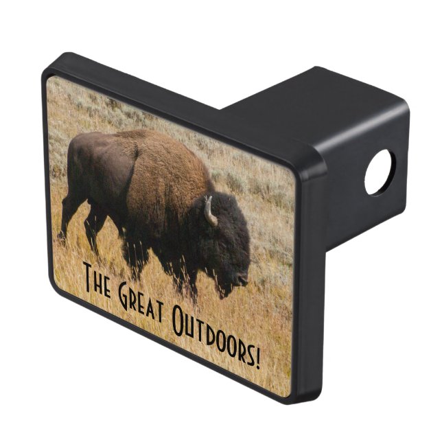 American Bison Grazing In Meadow Grass Photograph Hitch Cover (Top Right)