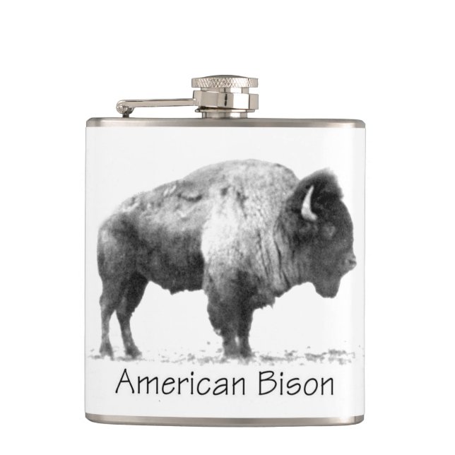 American Bison Hip Flask (Front)