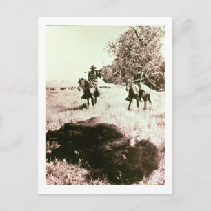 American Bison Hunters (b/w photo) Postcard