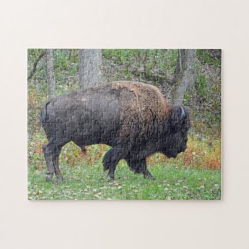 American Bison In Early Autumn Jigsaw Puzzle by WackemArt at Zazzle