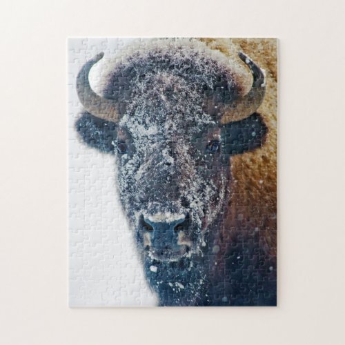 American Bison in Snow Wildlife Puzzle