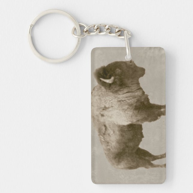 American Bison Keychain (Front)