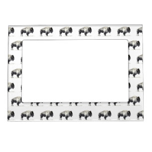 American Bison Magnetic Frame
