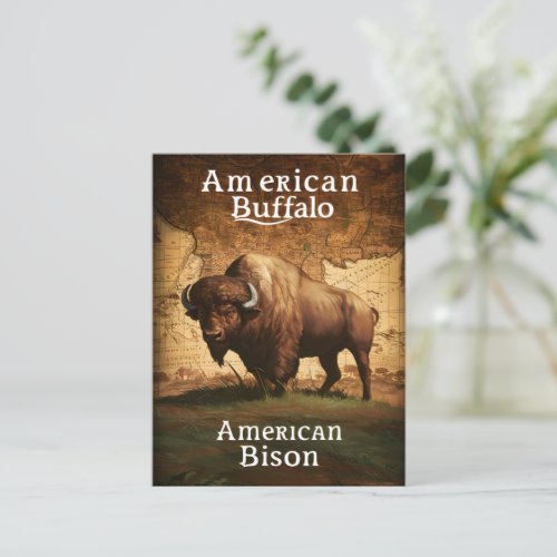 American Bison on a Map Postcard