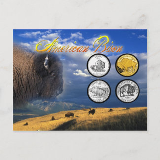 American Bison on coins Postcard