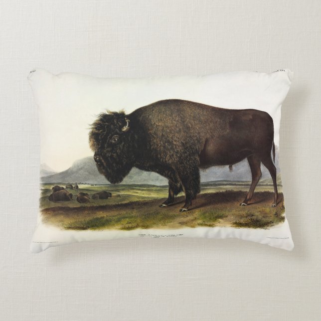 American Bison, or Buffalo (Bison bison) - Audubon Accent Pillow (Front)
