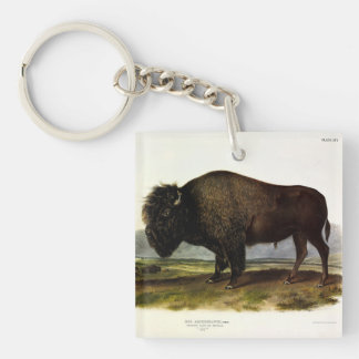 American Bison, or Buffalo (Bison bison) - Audubon Keychain