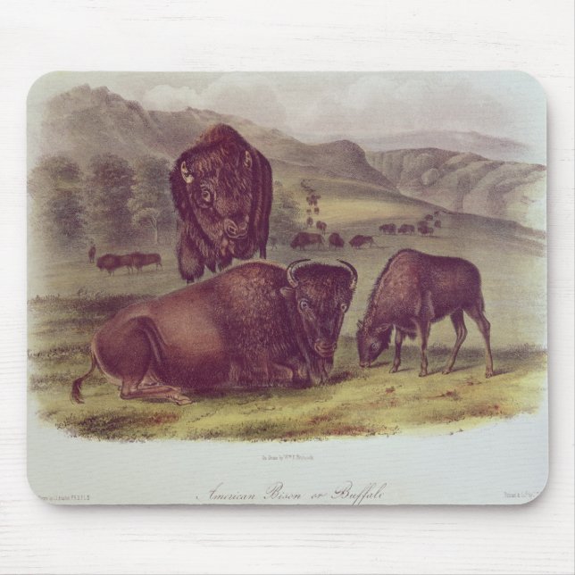 American Bison or Buffalo Mouse Pad (Front)