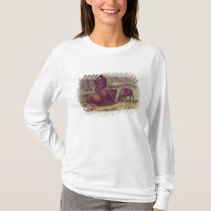 American Bison or Buffalo T-Shirt