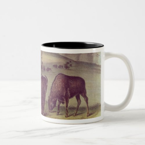 American Bison or Buffalo Two_Tone Coffee Mug