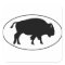 American Bison Oval Logo