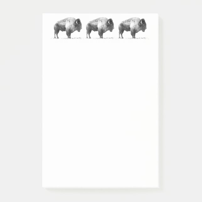 American Bison Post-it Notes (Front)