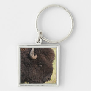 American Bison, South Dakota Keychain