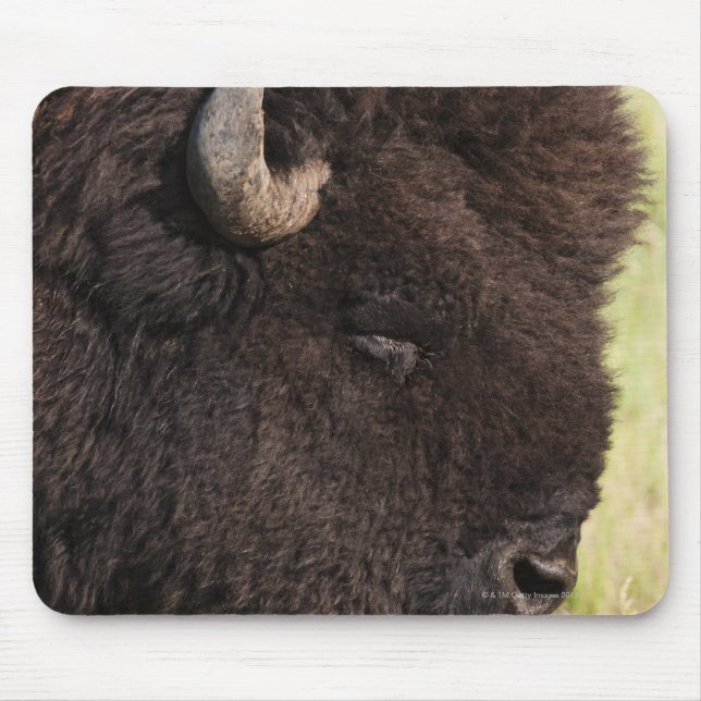 American Bison, South Dakota Mouse Pad (Front)