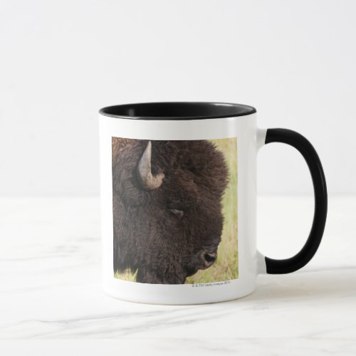 American Bison South Dakota Mug