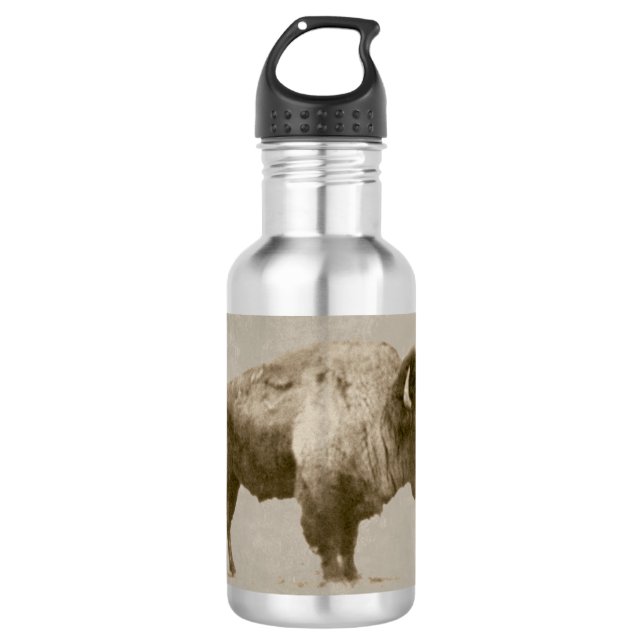 American Bison. Stainless Steel Water Bottle (Front)