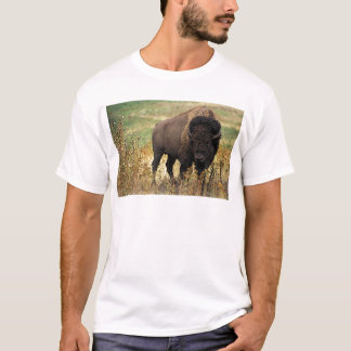 American Bison T-Shirt