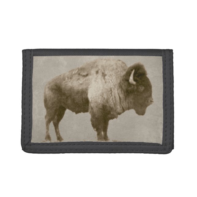 American Bison Tri-fold Wallet (Front)