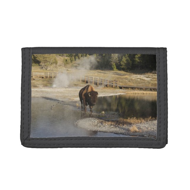 American Bison Yellowstone Wildlife Photography Trifold Wallet (Front)